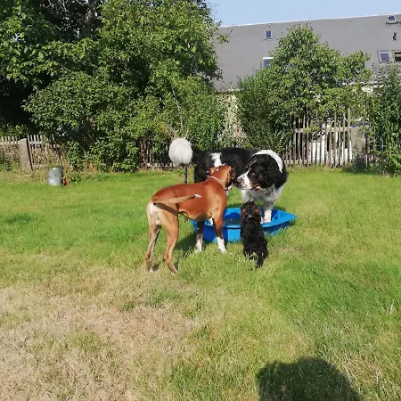 Hoehensonne Daire Rathmannsdorf