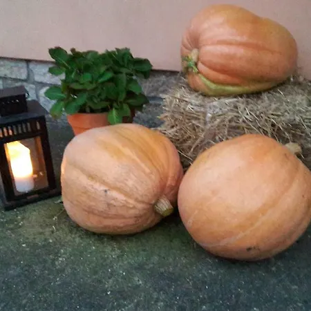 Hoehensonne Daire Rathmannsdorf