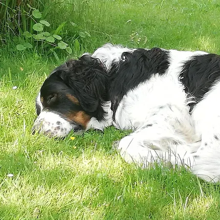 Hoehensonne * Rathmannsdorf