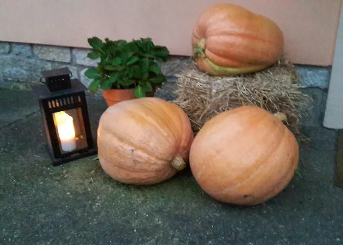 Hoehensonne شقة Rathmannsdorf