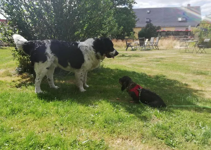 Hoehensonne شقة *