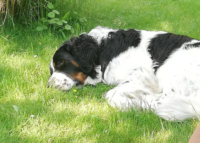 Hoehensonne * Rathmannsdorf